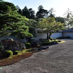 投稿日:2017年10月20日 写真