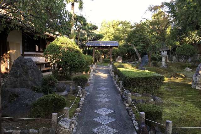 写真