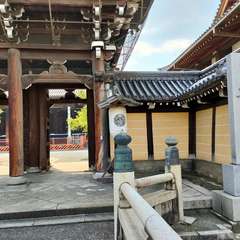 投稿日:2022年4月20日 写真