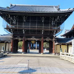 投稿日:2022年11月13日 写真