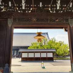 投稿日:2022年4月20日 写真