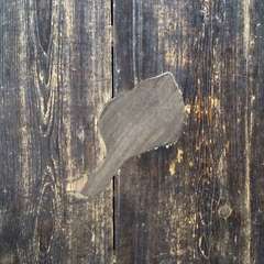 投稿日:2023年6月24日 写真