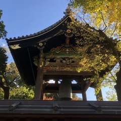 投稿日:2019年11月21日 写真