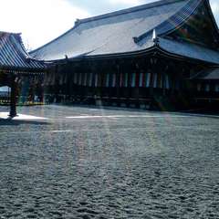 投稿日:2022年4月8日 写真