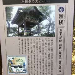 投稿日:2019年11月21日 写真