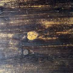 投稿日:2023年6月24日 写真