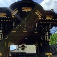 投稿日:2019年2月3日 写真