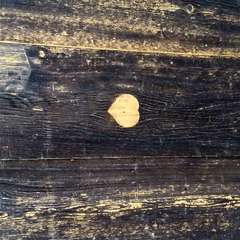 投稿日:2023年6月24日 写真