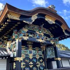 投稿日:2025年2月19日 写真