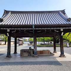 投稿日:2022年4月20日 写真