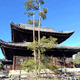 正法山 妙心寺