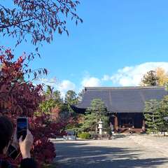 蜂岡山 広隆寺(投稿日:2025年12月12日) 写真