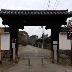 投稿日:2020年1月19日 写真