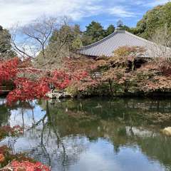 投稿日:2021年11月6日 写真