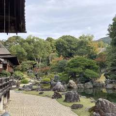 投稿日:2021年11月6日 写真