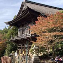 投稿日:2021年11月6日 写真