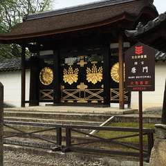 投稿日:2016年6月10日 写真