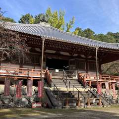 投稿日:2021年11月6日 写真