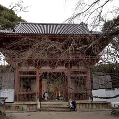 投稿日:2020年1月19日 写真