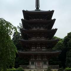 投稿日:2016年6月10日 写真