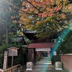 東光山 長建寺(投稿日:2025年12月11日) 写真