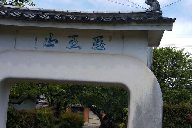 写真
