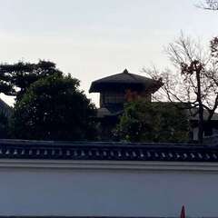 飛雲閣(投稿日:2025年12月30日) 写真