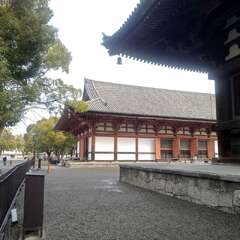 東寺 講堂(投稿日:2025年2月16日) 写真