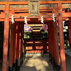 四貫島住吉神社境内 稲荷神社(投稿日:2024年11月13日) 写真