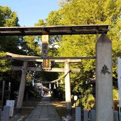 写真