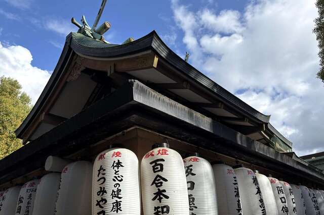 写真