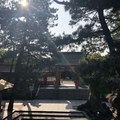 投稿日:2020年6月29日 写真