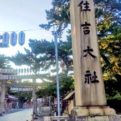 投稿日:2025年10月31日 写真