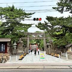 投稿日:2025年6月12日 写真