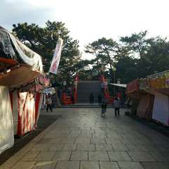 投稿日:2019年1月5日 写真