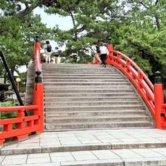 投稿日:2025年6月12日 写真