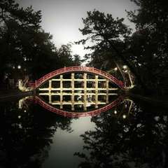 投稿日:2019年3月28日 写真