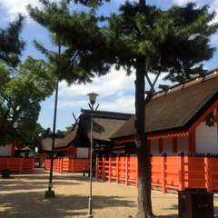 投稿日:2016年8月27日 写真