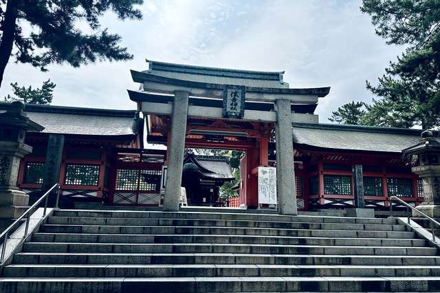 写真