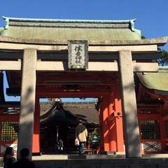 投稿日:2016年3月12日 写真