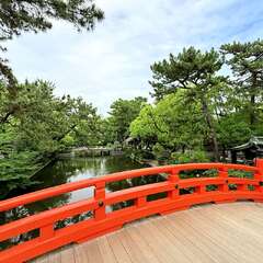 投稿日:2025年6月12日 写真