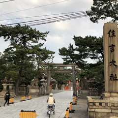 投稿日:2018年10月27日 写真