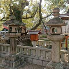 投稿日:2019年3月15日 写真