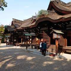 投稿日:2019年3月15日 写真