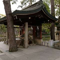 投稿日:2019年4月8日 写真