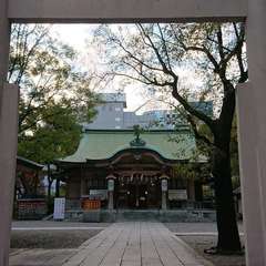 投稿日:2020年12月11日 写真