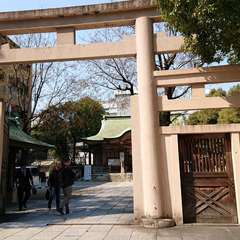 投稿日:2019年3月15日 写真