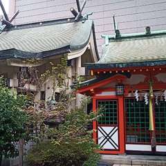 投稿日:2021年9月14日 写真