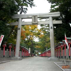 弥栄神社(投稿日:2025年10月26日) 写真