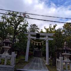豊中八坂神社鳥居(投稿日:2025年11月19日) 写真